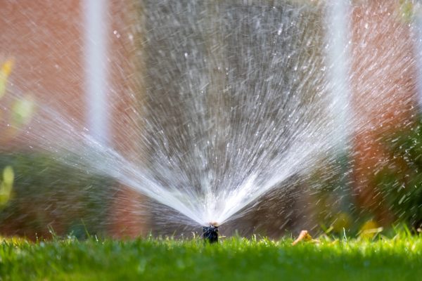 Plastic sprinkler irrigating grass lawn with water in summer garden. Watering green vegetation duging dry season for maintaining it fresh. SSUCv3H4sIAAAAAAAACpxTy27cIBTdV+o/jFhnJDAPm/xK1AVgOkZhwAKcJorm3wu2cZhpu+nO9xzuPec+/Pn92+kEpIhGgefTZ4lybKxdYgoiGe8yDJ92PGg36tAibwEz2AJ6NMkHI2wLSpHU5MRVZ9At1hb4tpIgJpGWqGOjPns30hzjI91cYvLqdZ588i0xm/ckCtAUVCLpS3ZwV7I2+LLFp0qsZM7IFABPDRYXuWIV2or/V+b28aN6Fhft1EfxdmtcB2212Mbwsj0Fr7+SDte1i/2RWEbjm67evBI2PvQ/B6OMuzRpPk3r0mqa8otLoVgAHeLVPLDez0LasqOfuayu+CRizBljxdtZ5yvx10bK+bT2sI8EjHkZJUS44x3BFHECCRmGnoB2/ZPJdVZH1eMyWy9GXUSPgR+HgRgeMO3ZQI7B/3Ej25uBUfr1pp4LYqTntKcIblRdbtnd1aT0ICv/VpohDOsdPlpjiCL0D1kGIWe77N1vkAXMeHezD7KAEEQ5R4weK6uqADGGCO96/EXtomAgPeY9ZOtB7mqmNAjUoKDmvTx3SMMz6Tp0lpLIs+rpoJmkmCuas26/AQAA//8DAGMHrmMkBAAA